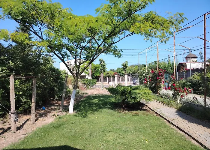 Casa Coman Vama Veche