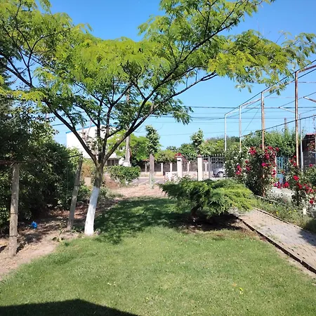 Casa Coman Vama Veche